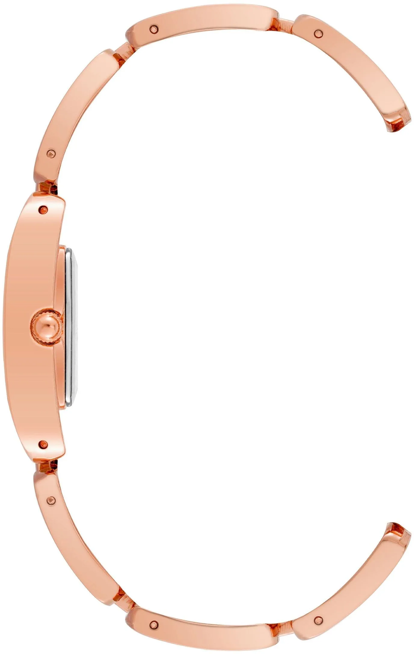 Anne Klein Steel 4068RGTE