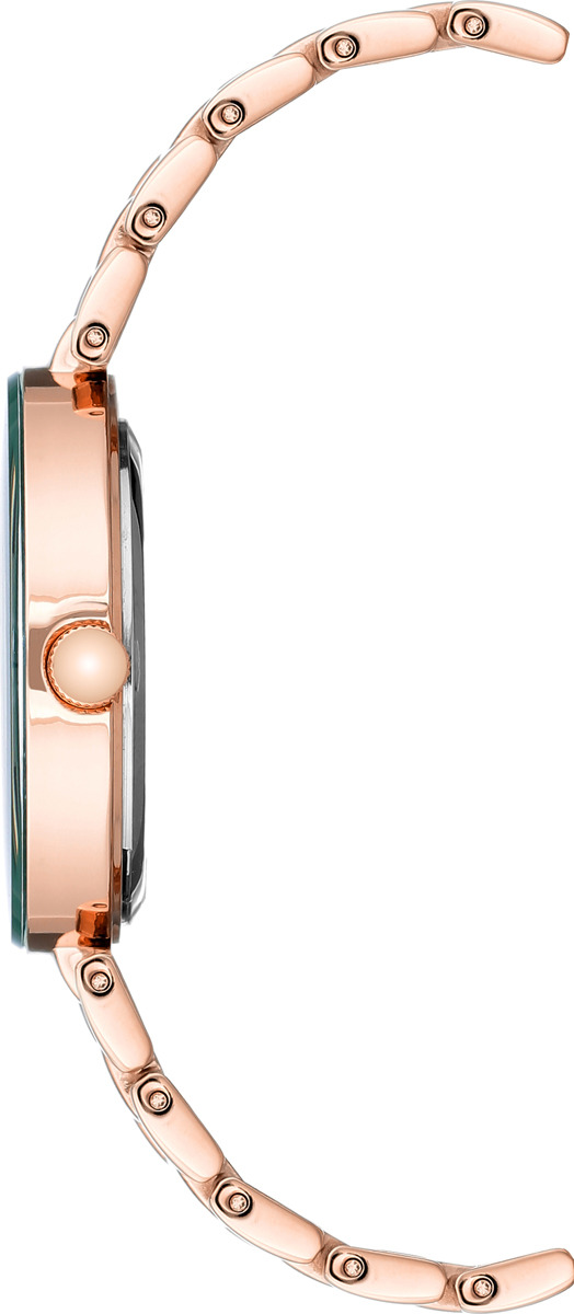 Anne Klein Steel 1362GNRG