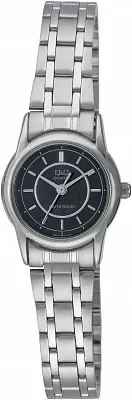 Наручные часы Q&Q Q621J202Y
