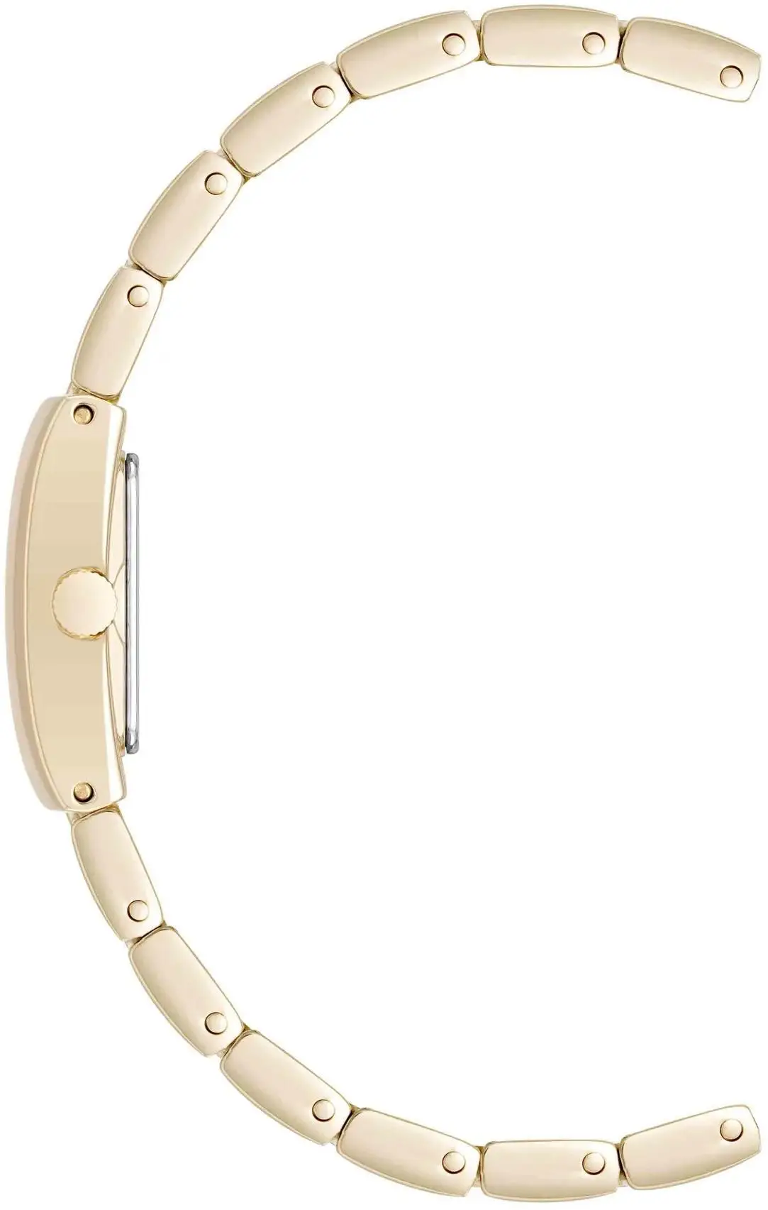 Anne Klein 5120TNGB