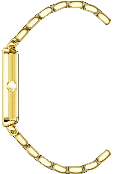 Anne Klein Diamond 3668GNGB