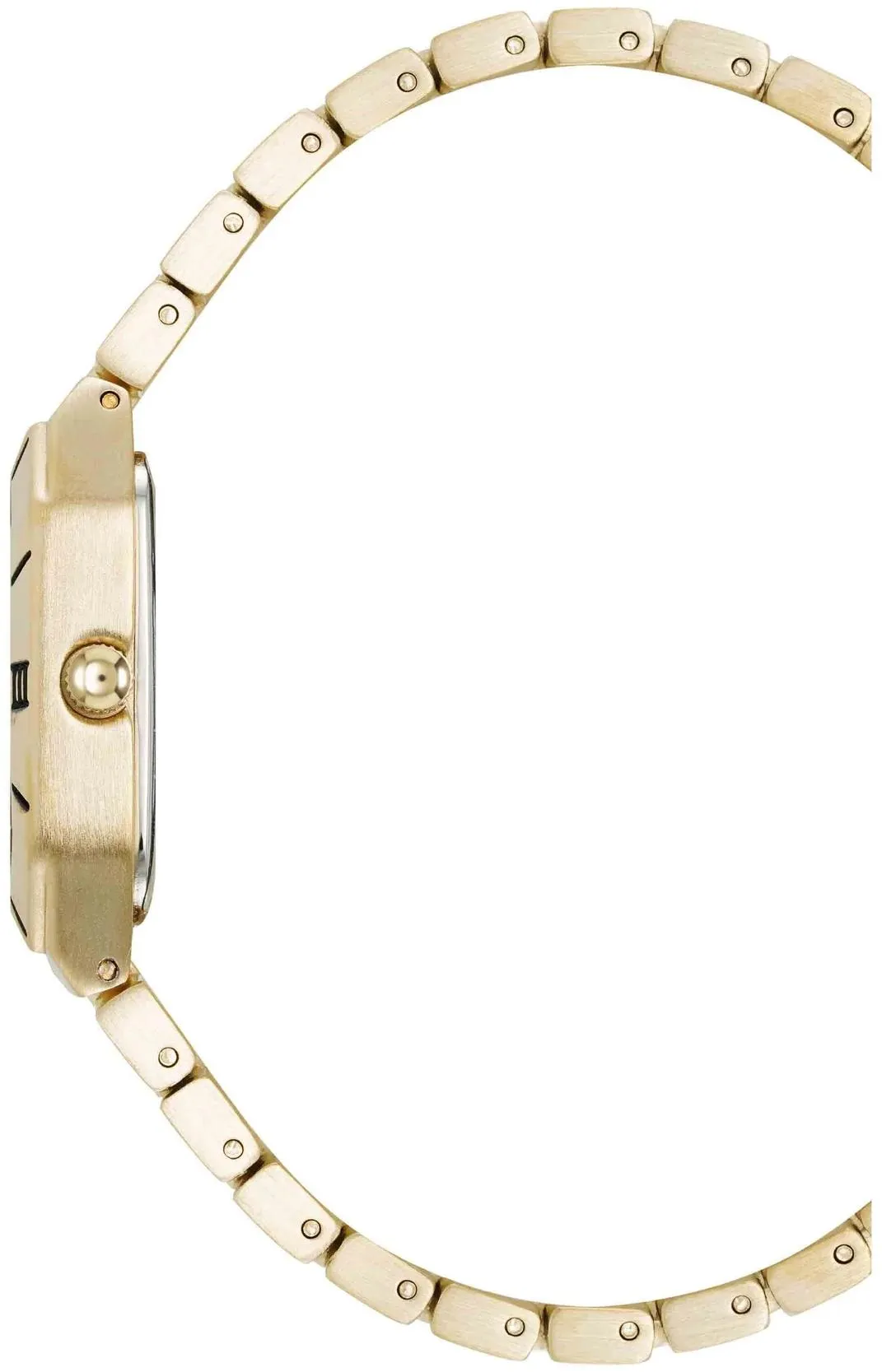 Anne Klein Metals 5038CHGB