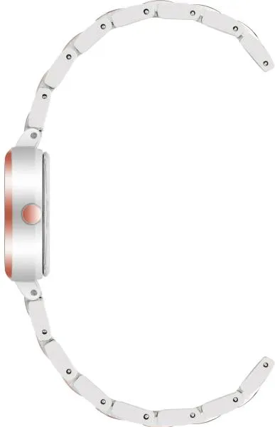 Anne Klein Steel 4011SVRT