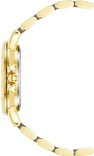 Anne Klein 4120TPGB