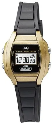 Наручные часы Q&Q LL01J002Y