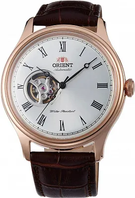 Наручные часы Orient SAG00001S