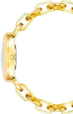 Anne Klein Steel 4092BKGB