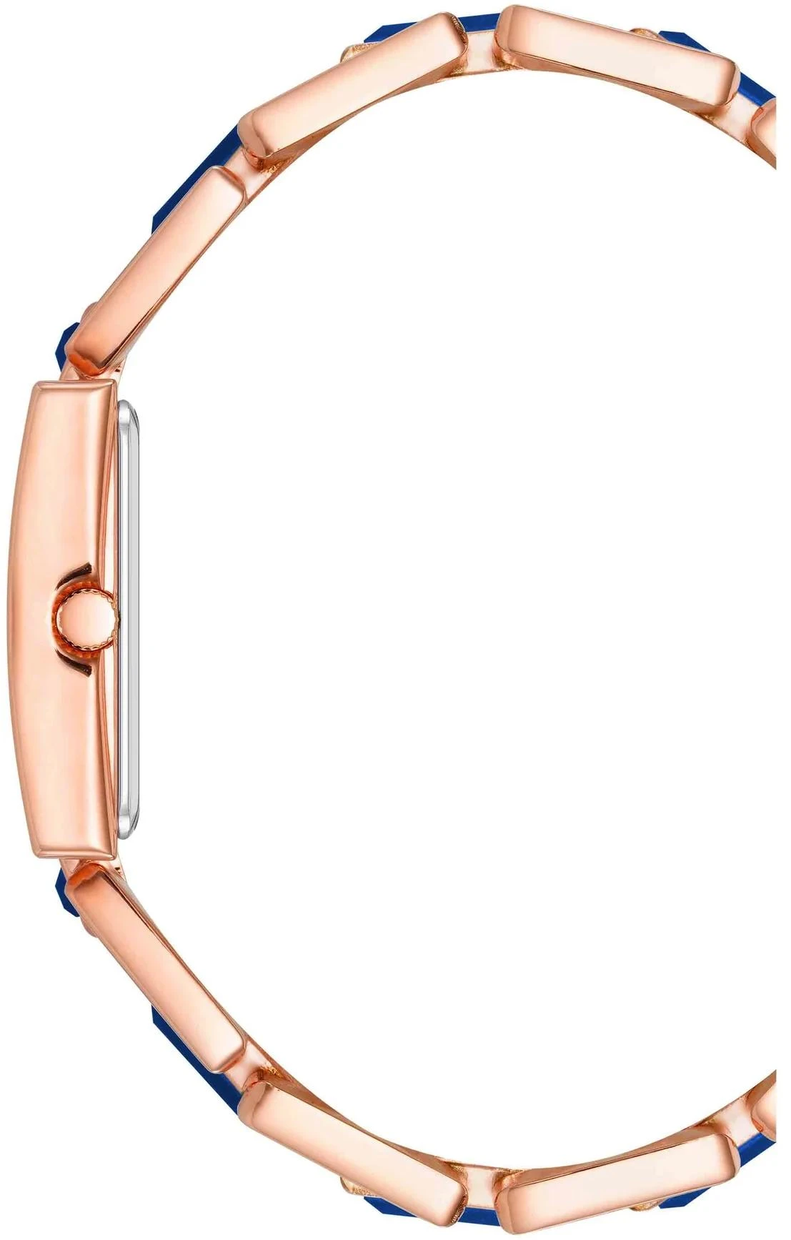 Anne Klein Gemstones 4156BLRG