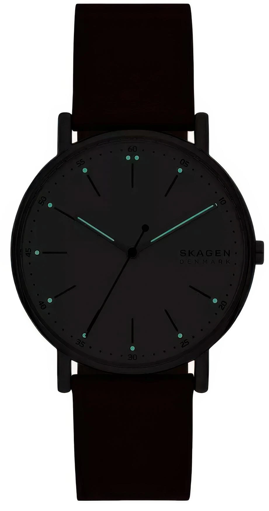 Skagen Signatur SKW6903