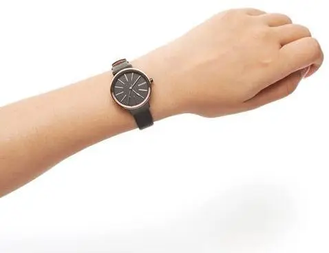 Skagen SKW2490