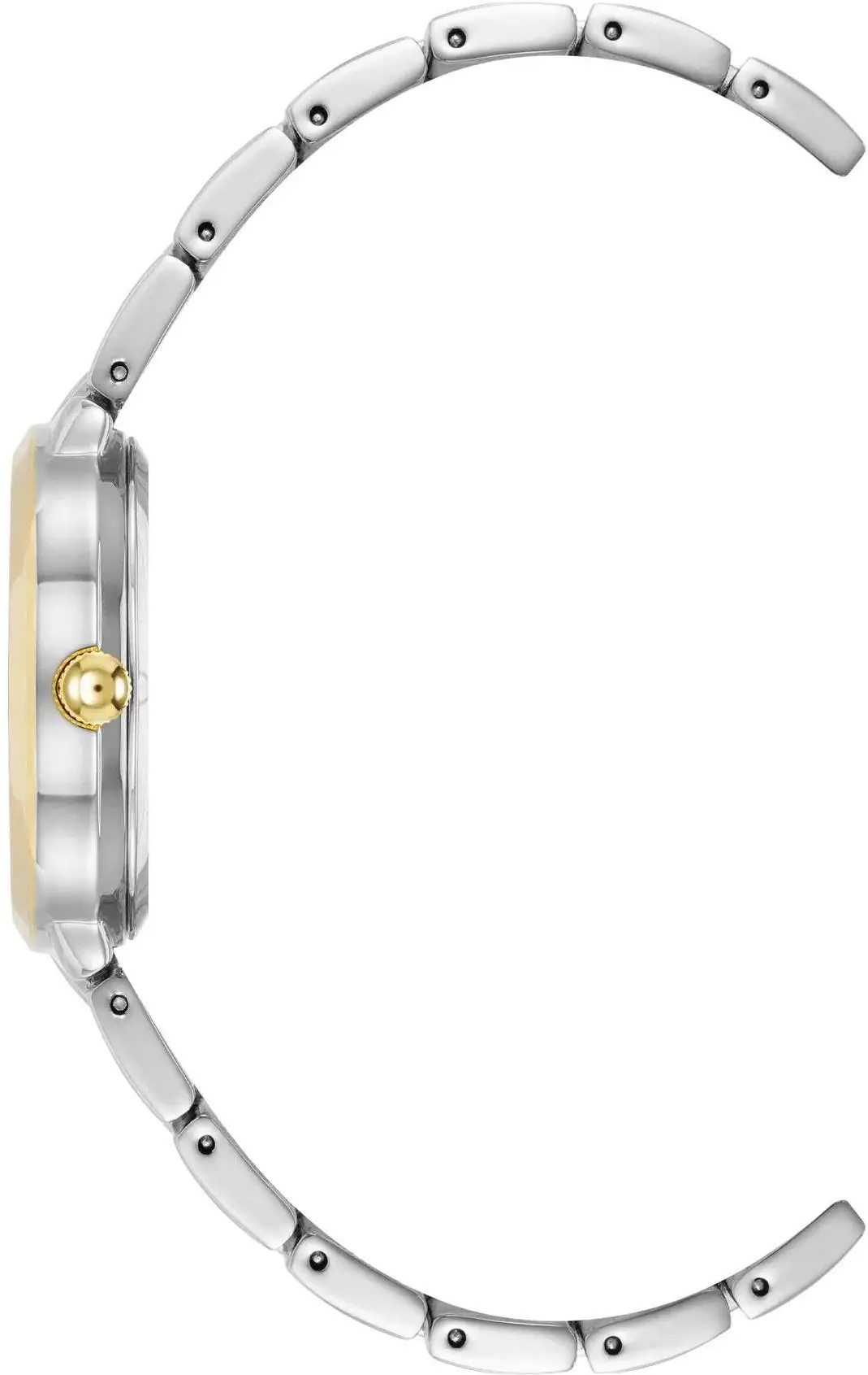 Anne Klein 5021SVTT