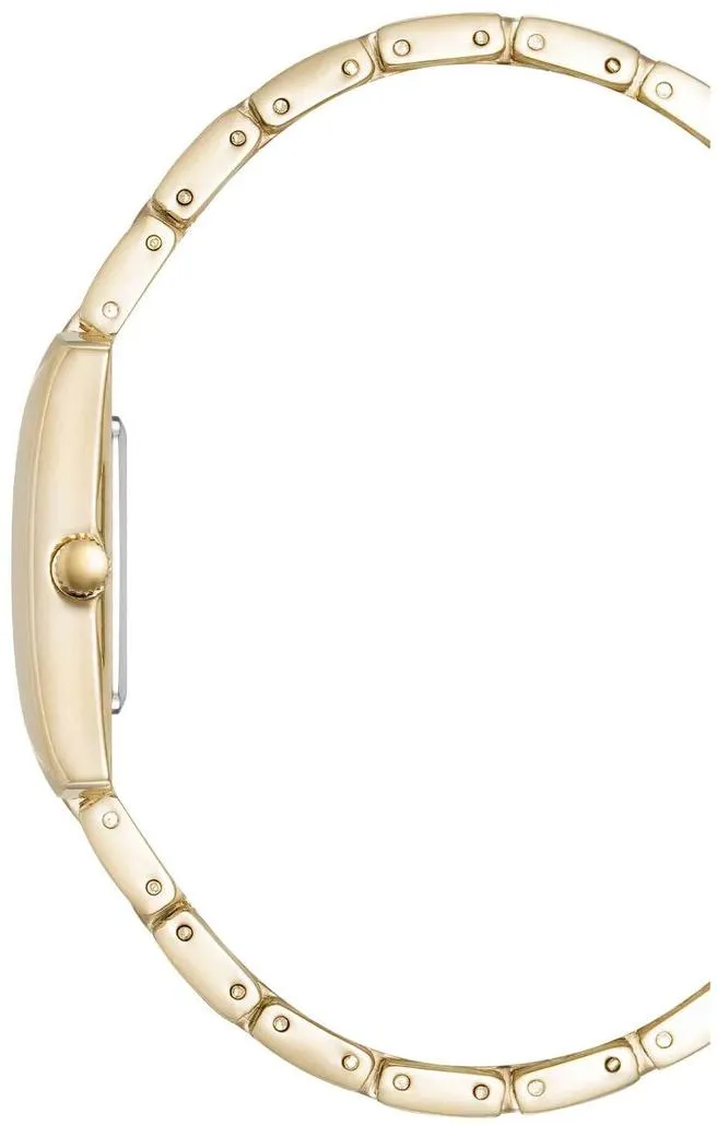 Anne Klein Metals 5114SVGB