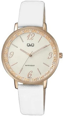 Наручные часы Q&Q QC09J114Y
