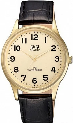 Наручные часы Q&Q C214J103Y