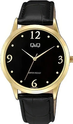 Наручные часы Q&Q C08AJ018Y