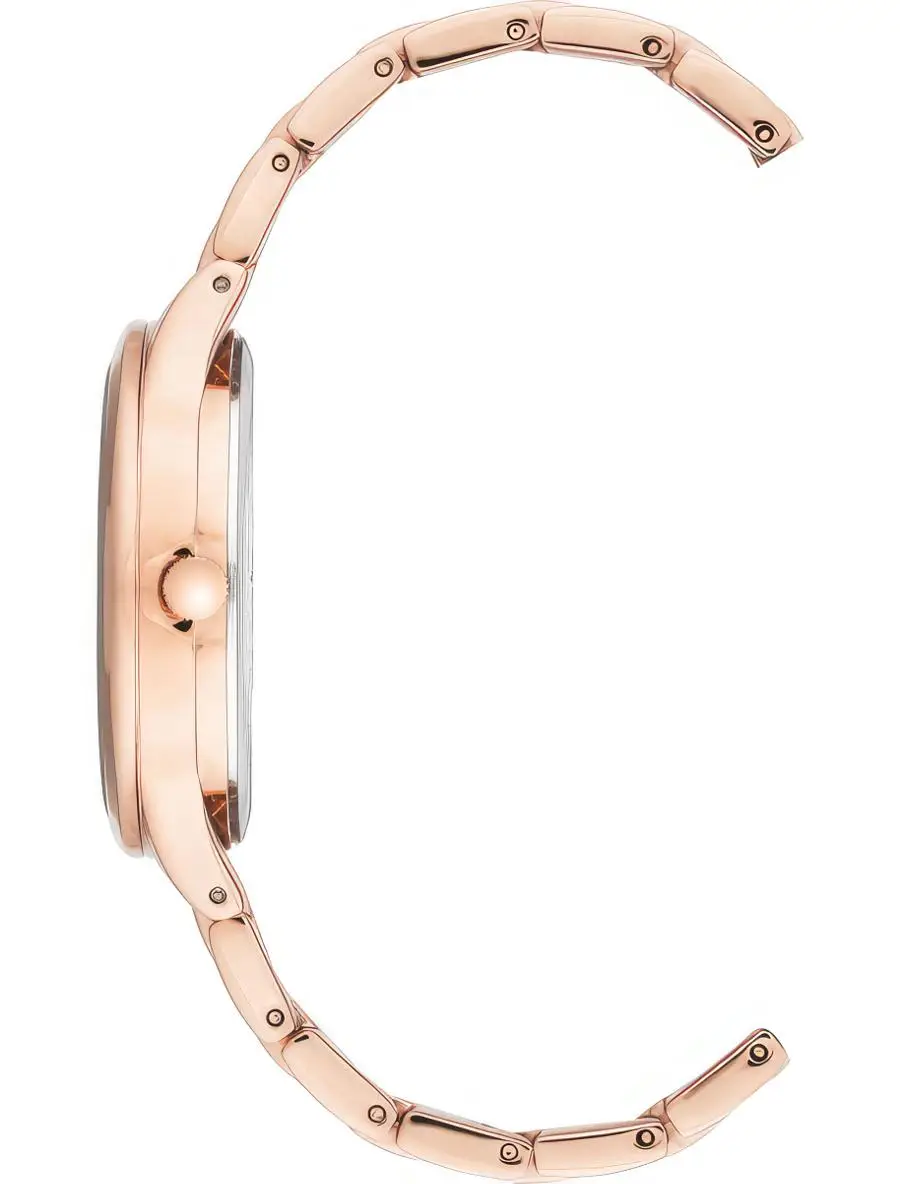 Anne Klein 3416BYRG