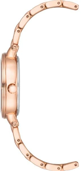 Anne Klein Steel 4014WTRG