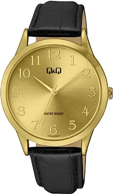 Наручные часы Q&Q C10AJ022Y