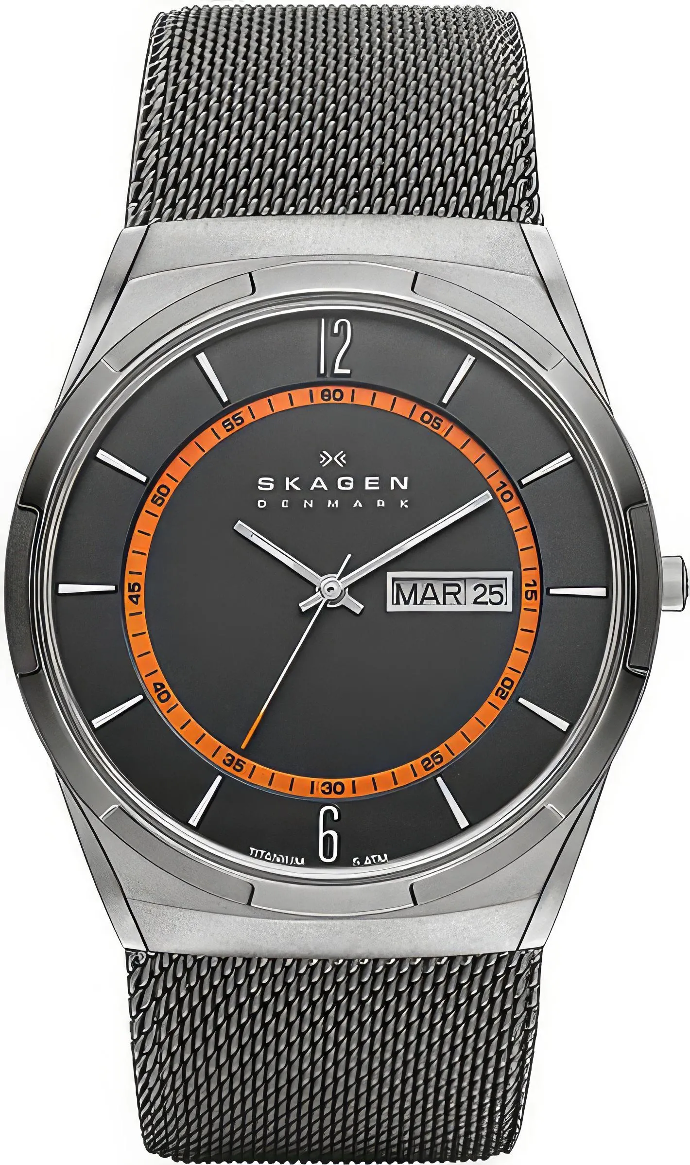 Skagen Titanium SKW6007