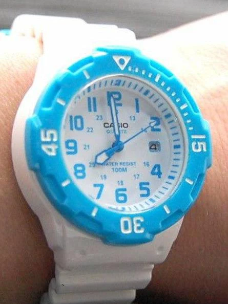 Casio Collection LRW-200H-2B
