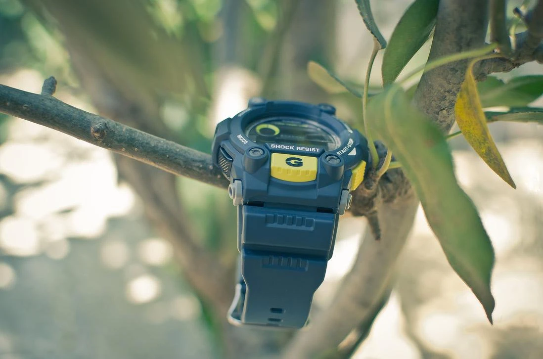 Casio G-Shock G-7900-2D