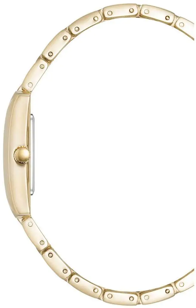 Anne Klein 5114SVGB