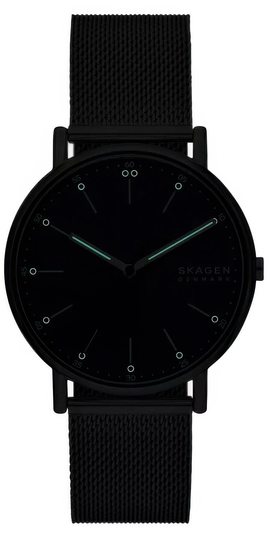 Skagen Signatur SKW6904