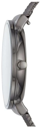 Skagen Titanium SKW6432