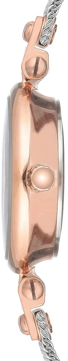 Anne Klein Steel 3003SVRT