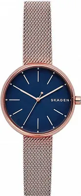Наручные часы Skagen SKW2593
