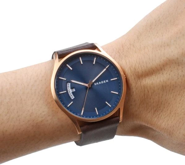 Skagen Leather SKW6395
