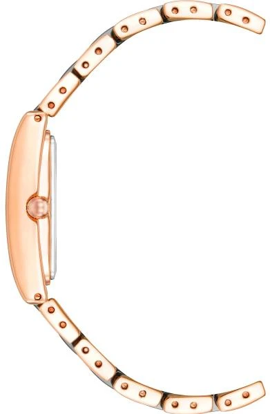 Anne Klein Plastic 3998NVRG