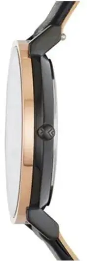 Skagen SKW2490