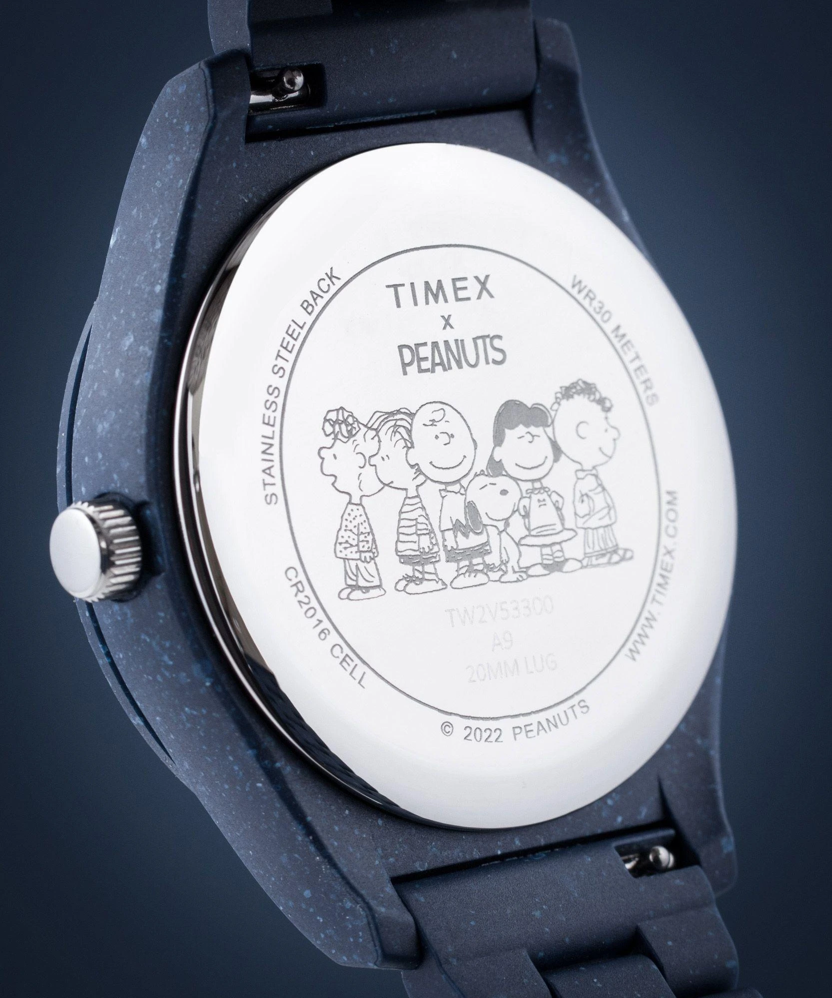 Timex Waterbury TW2V53300