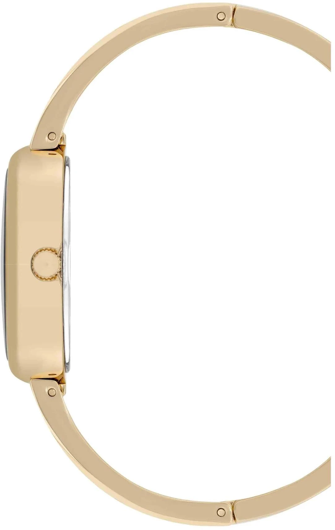 Anne Klein Gemstones 5108BLST