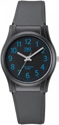 Наручные часы Q&Q VQ02J013Y