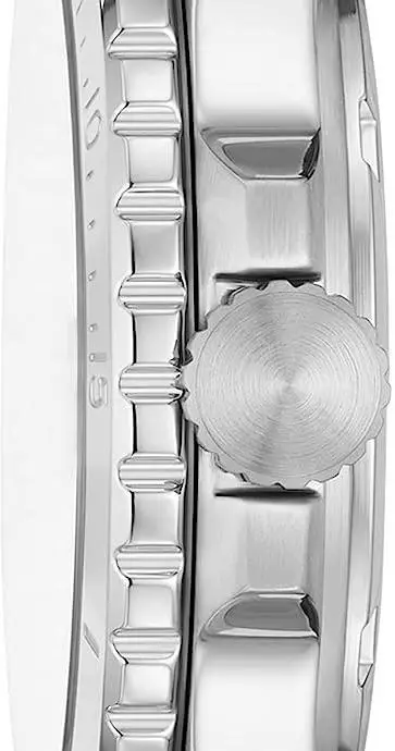 Fossil ES5289