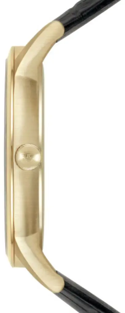 Emporio Armani AR11049