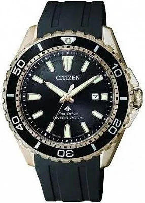 Citizen BN0193-17E