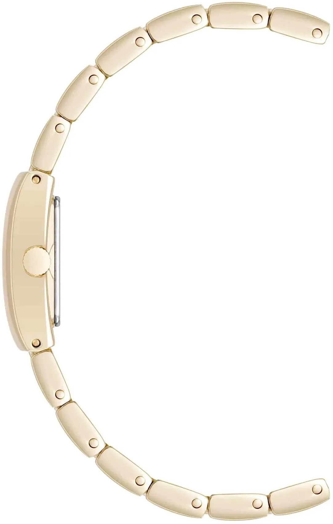 Anne Klein Metals 5120TNGB