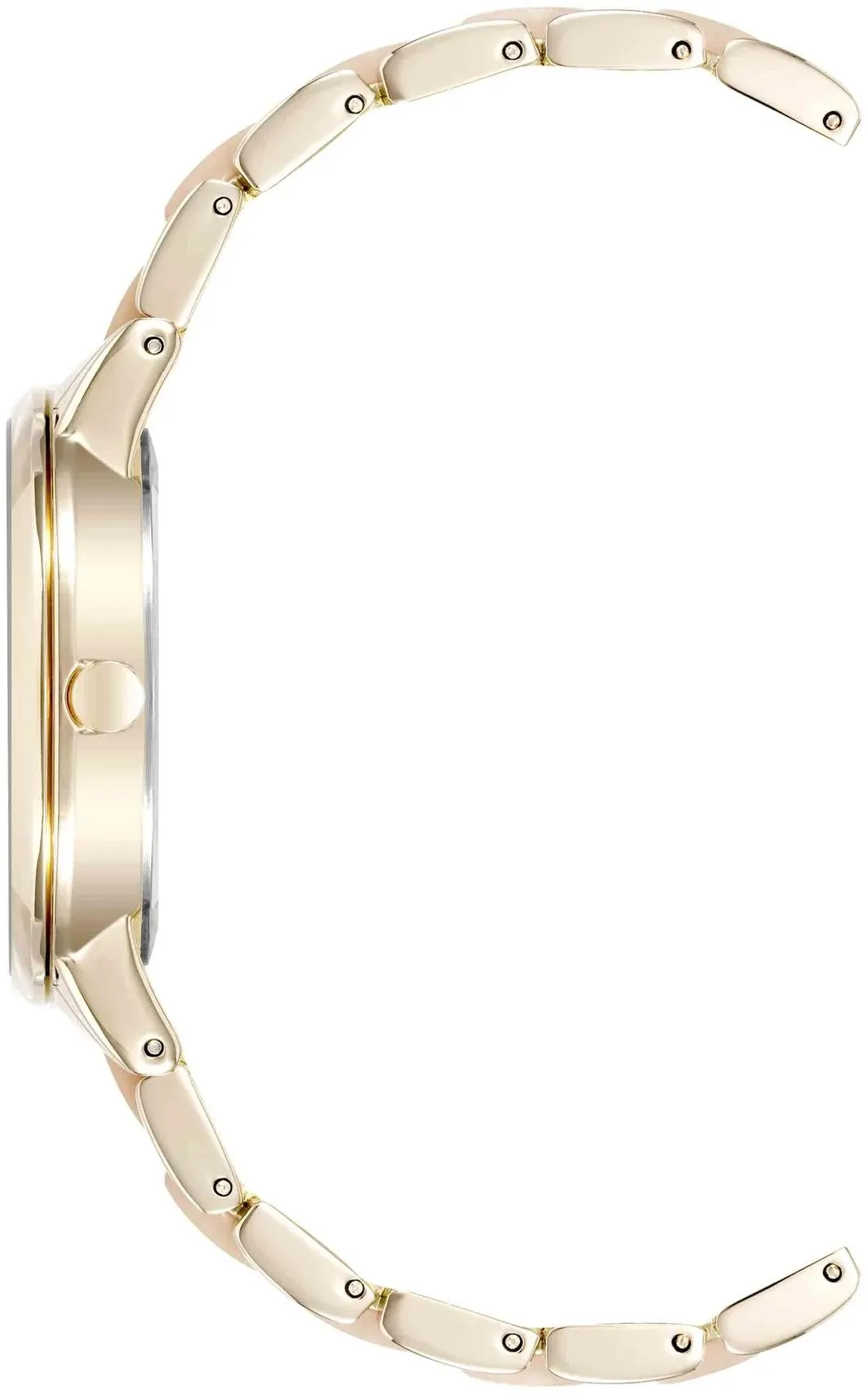 Anne Klein Plastic 1412IRGB