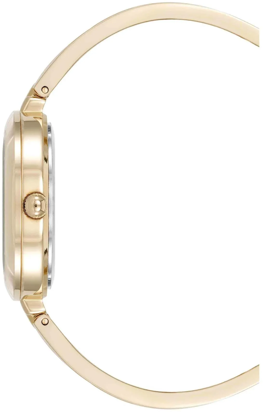 Anne Klein 5110INST