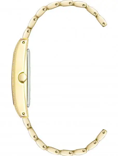 Anne Klein 3990GBST