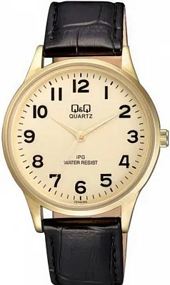 Наручные часы Q&Q C214J103Y