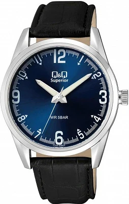 Наручные часы Q&Q C20AJ009Y
