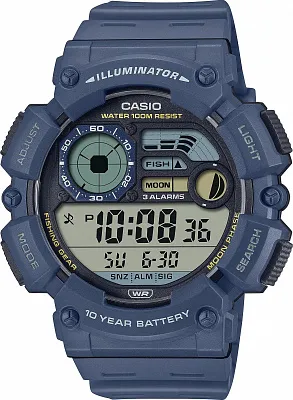 Наручные часы Casio WS-1500H-2A