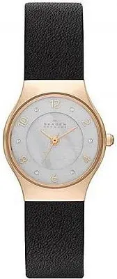 Skagen SKW2209