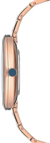 Anne Klein 2998RGRG