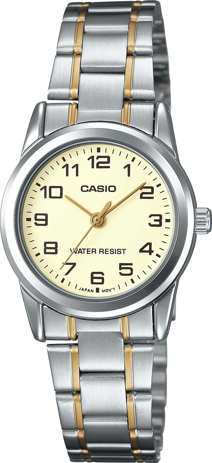 Casio Collection LTP-V001SG-9B