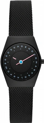 Наручные часы Skagen SKW3088